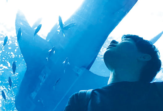 保養施設を会員価格で利用可能